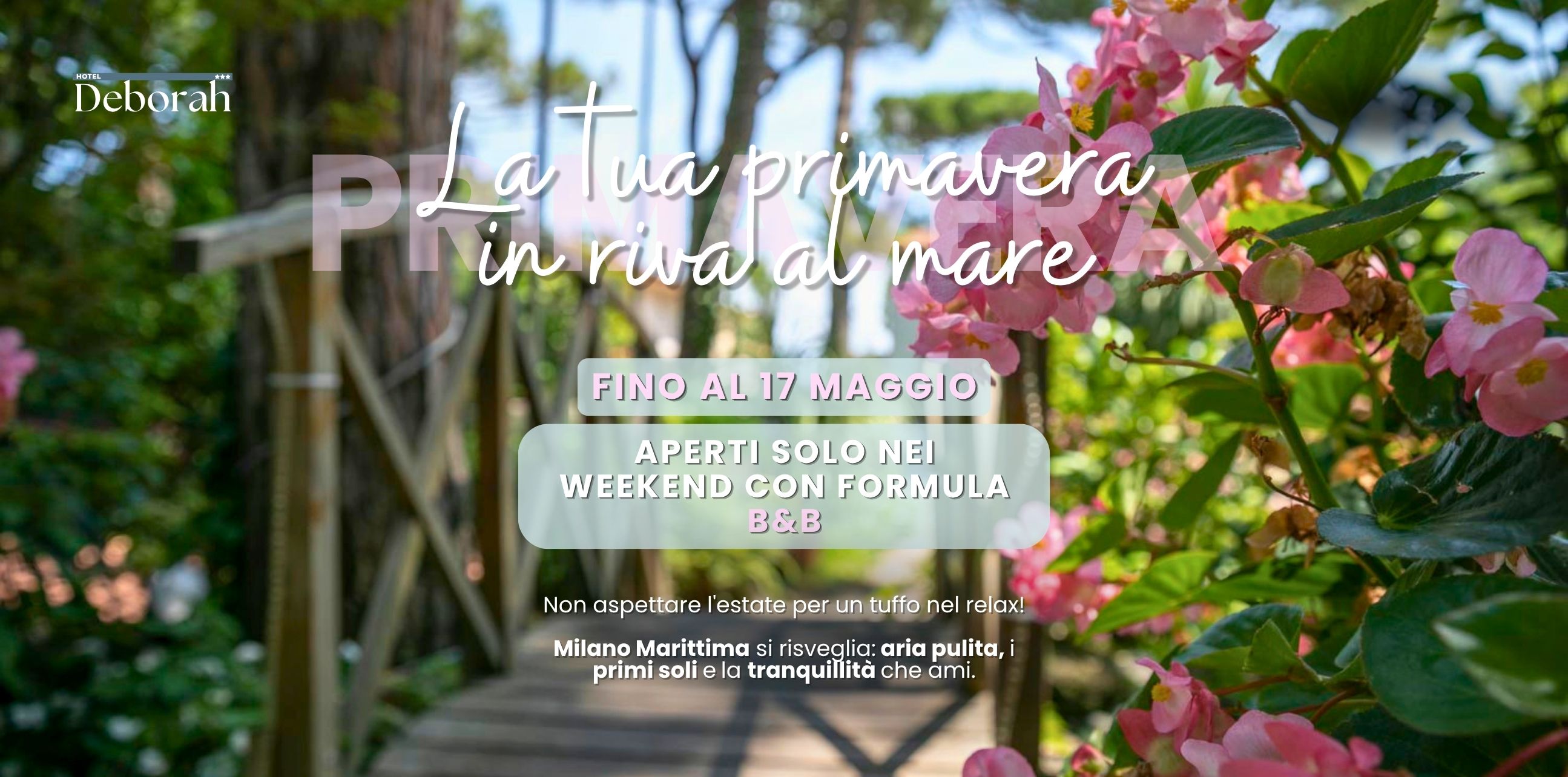 Spring and Kite Festival 🌸🪁